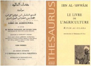 Kitab al Filaha dalam terjemahan bahasa Latin
