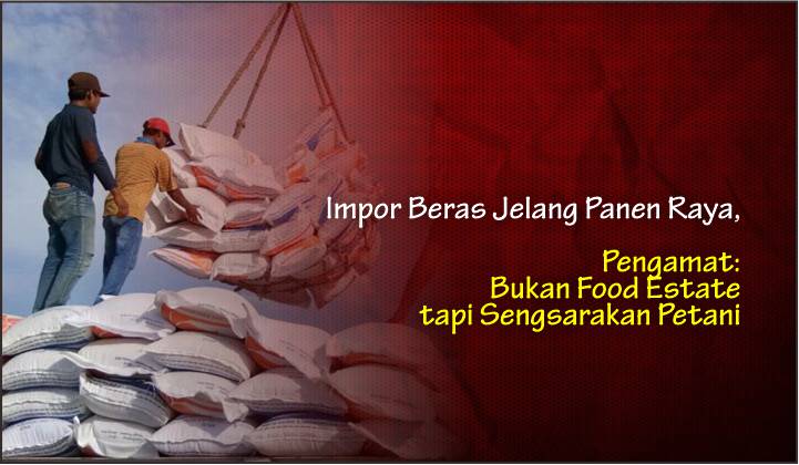  Impor Beras Jelang Panen Raya, Pengamat: Bukan Food Estate tapi Sengsarakan Petani