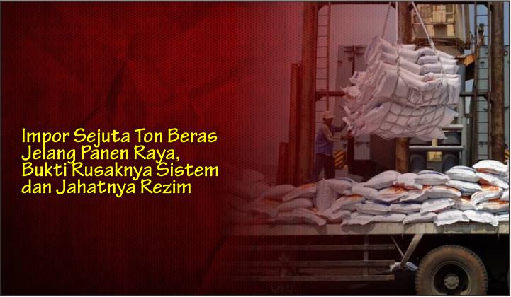 Impor Sejuta Ton Beras Jelang Panen Raya, Bukti Rusaknya Sistem dan Jahatnya Rezim
