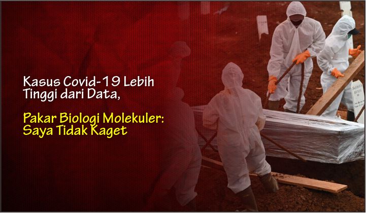  Kasus Covid-19 Lebih Tinggi dari Data, Pakar Biologi Molekuler: Saya Tidak Kaget