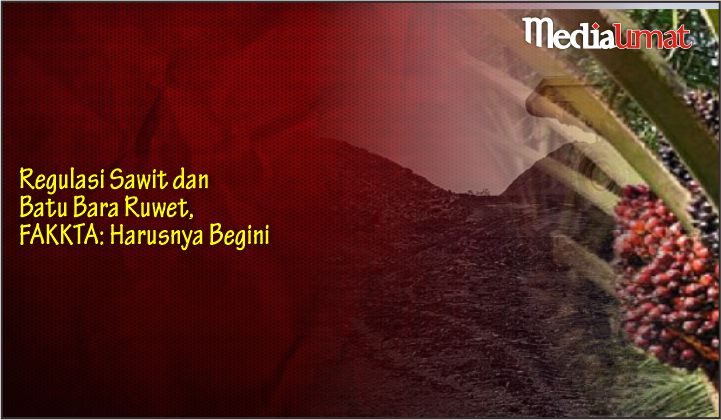  Regulasi Sawit dan Batu Bara Ruwet, FAKKTA: Harusnya Begini