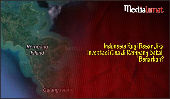  Indonesia Rugi Besar Jika Investasi Cina di Rempang Batal, Benarkah?